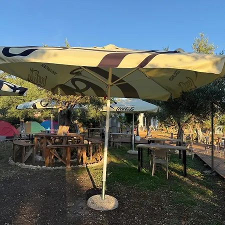 Oasis