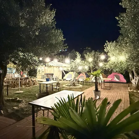 Oasis