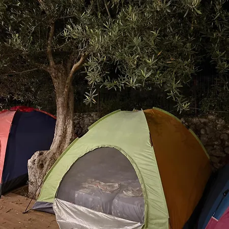 Oasis * ديرمي