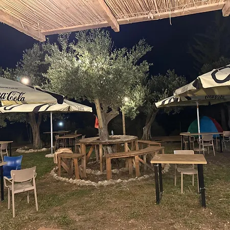 Oasis