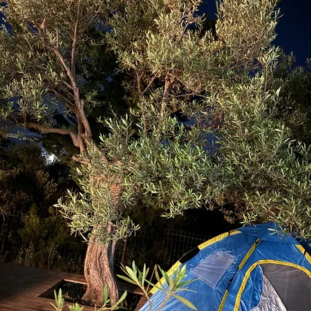 خيمة فخمة Oasis ديرمي